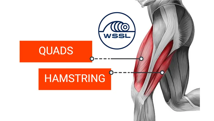 Quads and Hamstrings from SurfSkater