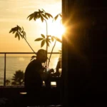 Boardriders Ericeira Working Sunset