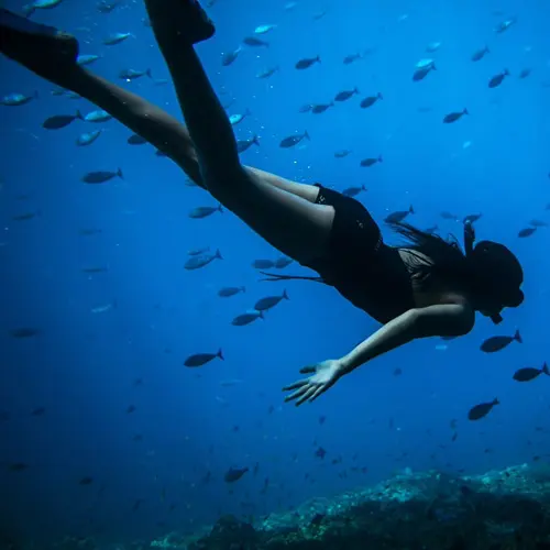 Uluwatu Surf Villas Indonesia Snorkel