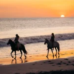 Malibu Popoyo Sunset Beach Horse in Nicaragua